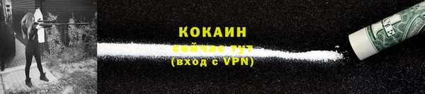 дмт Белокуриха