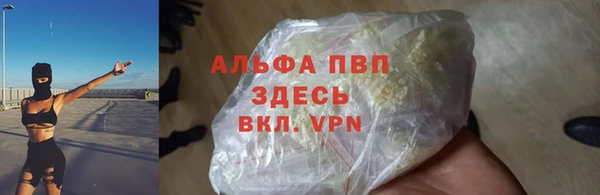 дмт Белокуриха